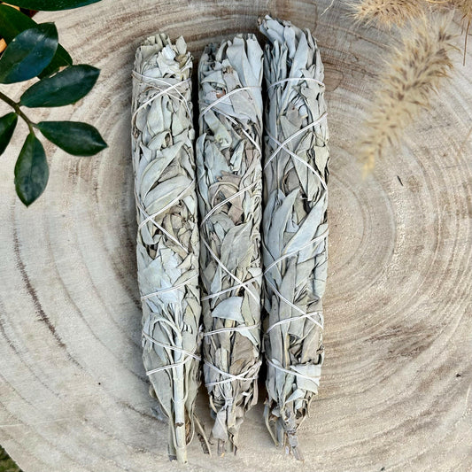 20cm White Sage Stick - Ethically Sourced